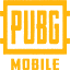 PUBG: New State